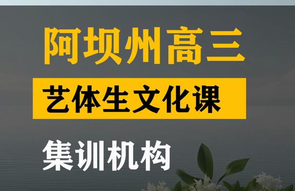 阿坝体育生文化课集训哪家好,高三文化课集训机构