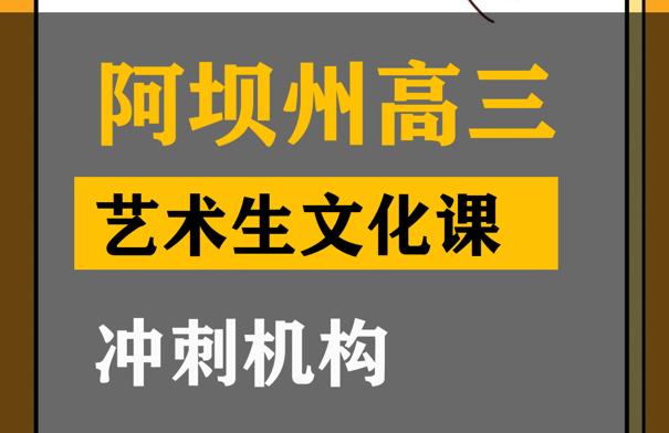 阿坝艺术生文化课冲刺机构,高考文化课集训班