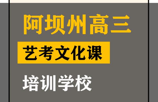 阿坝艺体生文化课冲刺怎么收费,高三艺考文化课集训学校