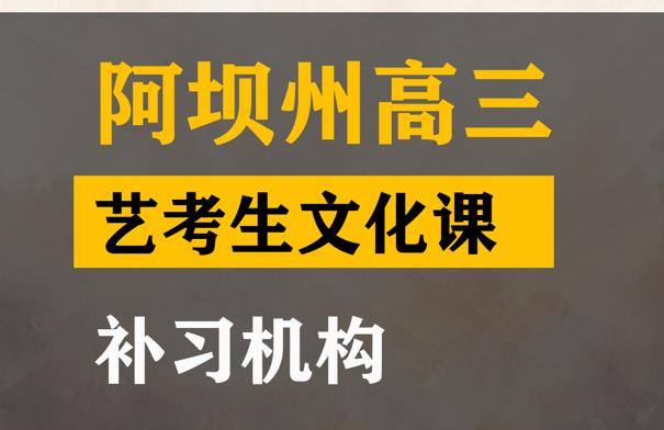 阿坝艺考生文化课补习机构,高中文化课辅导班