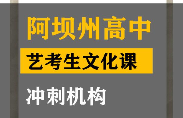 阿坝传媒生文化课集训哪家好,高考文化课冲刺机构