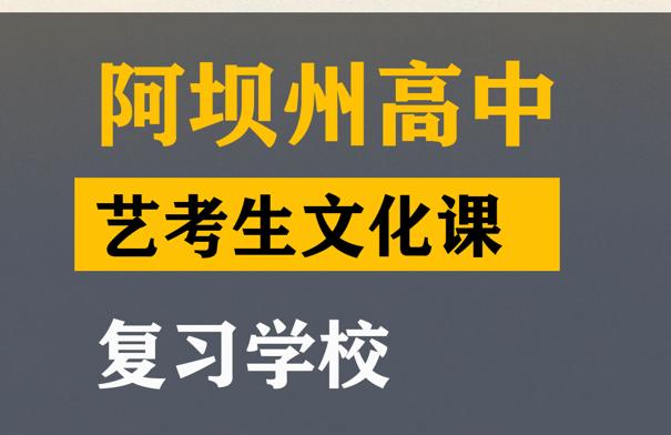 阿坝传媒生文化课补习班,高中艺考文化课补习学校