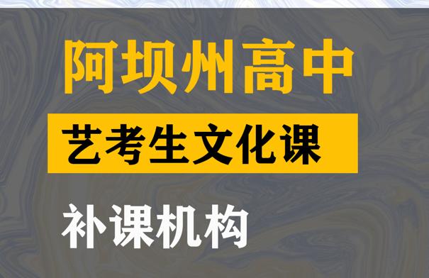 阿坝艺考生文化课培训辅导,高中艺考生文化课补课班