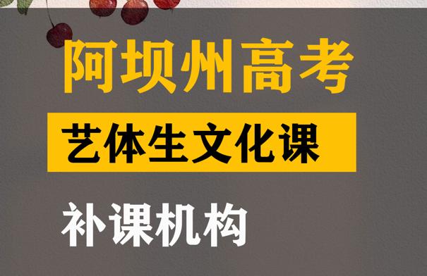 阿坝艺体生文化课补习班,高中艺考文化课提分班