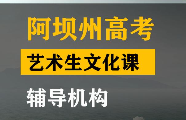 阿坝艺术生文化课辅导机构,高三文化课补习学校