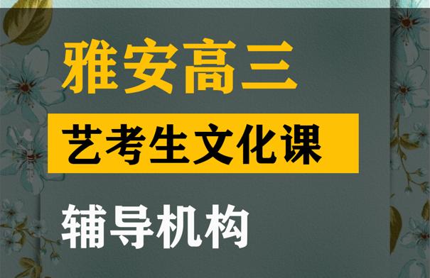 雅安艺体生文化课培训学校,高三艺考文化课辅导机构